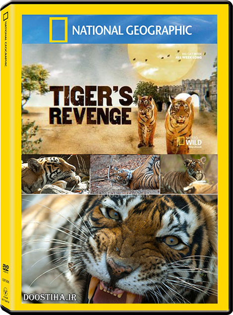 دانلود مستند انتقام ببر Tiger's Revenge 2015 HDTV
