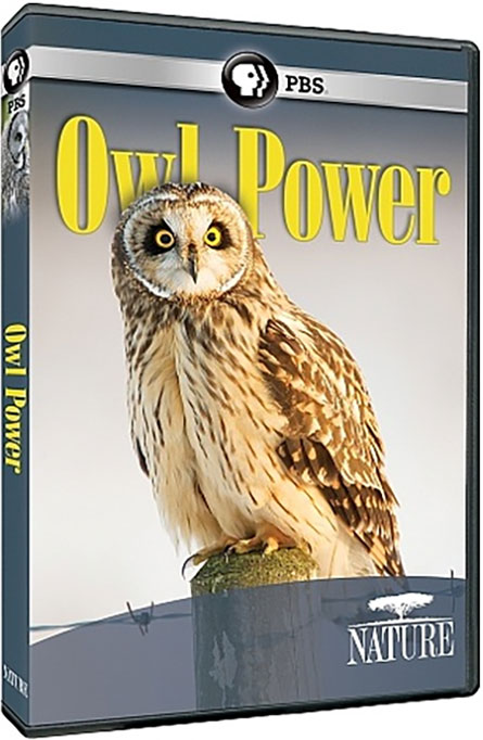 دانلود مستند قدرت جغد PBS - NATURE: Owl Power 2015