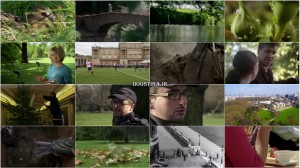 دانلود مستند باغ ملکه The Queen's Garden 2015