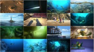 دانلود انیمیشن ماجراهای سامی با دوبله فارسی A Turtle's Tale: Sammy's Adventure 2010