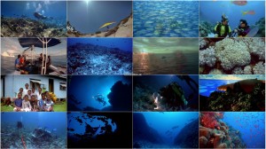 دانلود مستند صخره های مرجانی IMAX: Coral Reef Adventure 2003