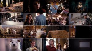 دانلود فیلم هتلی برای سگ ها با دوبله فارسی Hotel for Dogs 2009