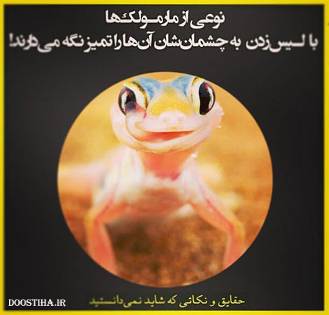 دانستنی های علمی، نکته های آموزنده، حقایقی که باید بدانید