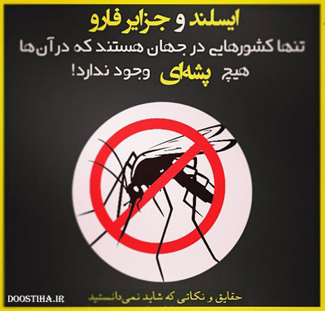 دانستنی های علمی، نکته های آموزنده، حقایقی که باید بدانید