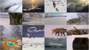 دانلود مستند پارک ملی یلوستون Yellowstone 2009 دانلود مستند Yellowstone 2009