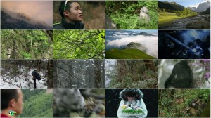 PBS Nature - Mystery Monkeys of Shangri-La 2015