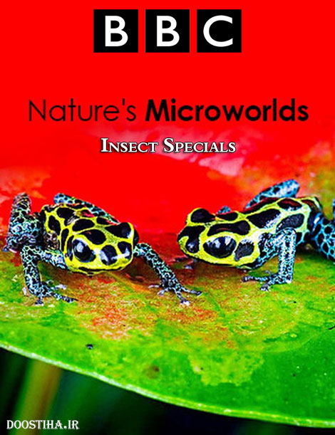 BBC - Nature's Microworlds: Insect Specials 2014