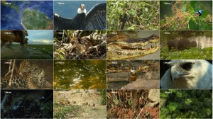 Serrania de la Macarena - Natures Treasure Trove