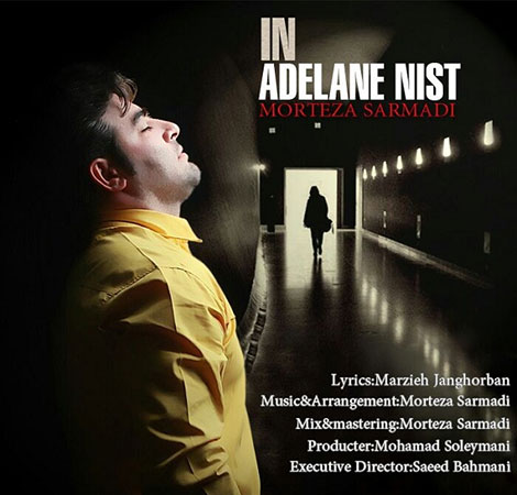 دانلود آهنگ جدید مرتضی سرمدی به نام این عادلانه نیست