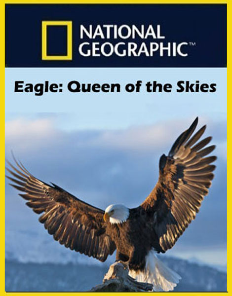 دانلود مستند National Geographic - Eagle: Queen of the Skies National Geographic - Eagle: Queen of the Skies 2015