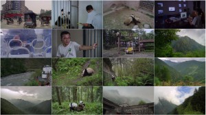 دانلود مستند Pandas: The Journey Home 2014