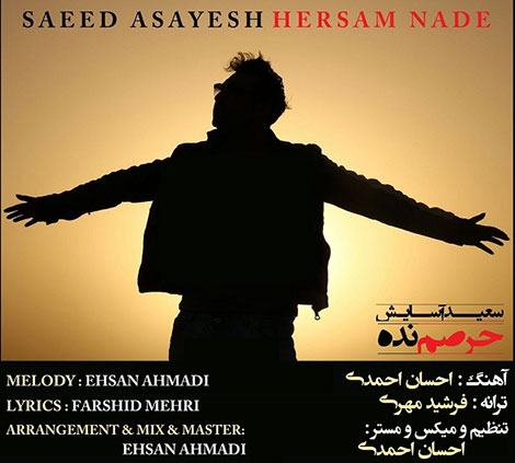 دانلود آهنگ جدید سعید آسایش به نام حرصم نده