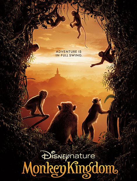 دانلود مستند Monkey Kingdom 2015