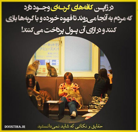 دانستنی های جالب, نکته های آموزنده, حقایقی که شاید نمیدانستید