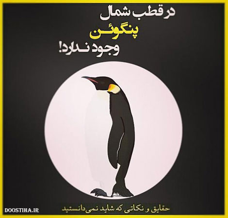 دانستنی های جالب, نکته های آموزنده, حقایقی که شاید نمیدانستید