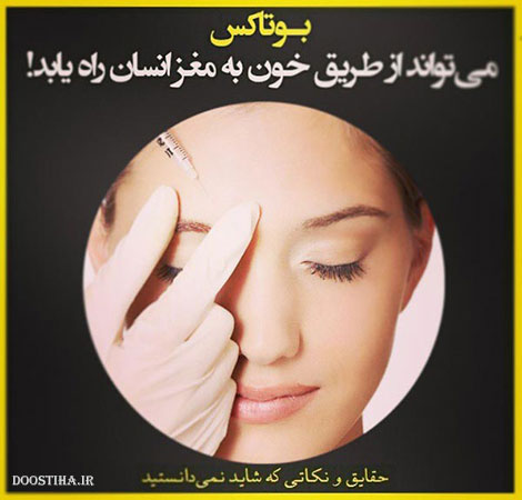 نکته های جالب, دانستنی های آموزنده, حقایق و نکاتی که شاید نمیدانستید