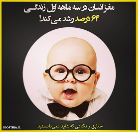 نکته های جالب, دانستنی های آموزنده, حقایق و نکاتی که شاید نمیدانستید