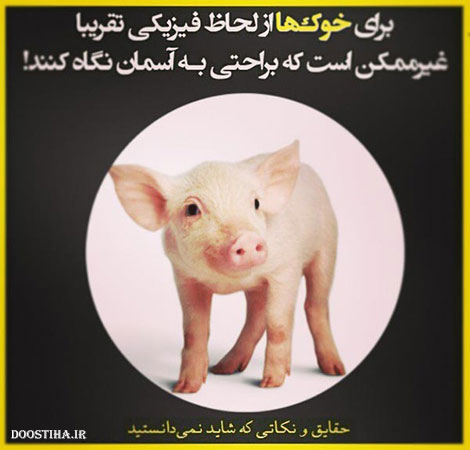 نکته های آموزنده, حقایق جالب, دانستنی های علمی