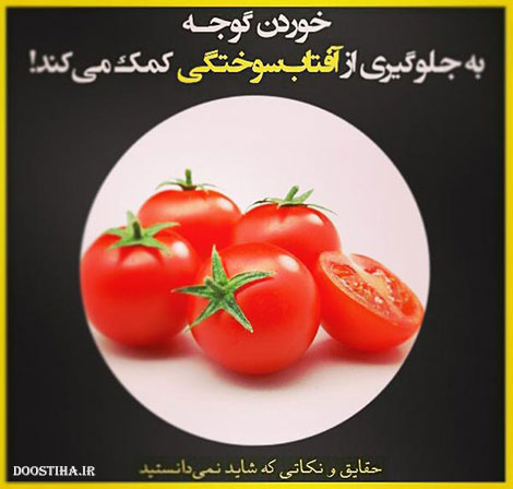 نکته های آموزنده, حقایق جالب, دانستنی های علمی