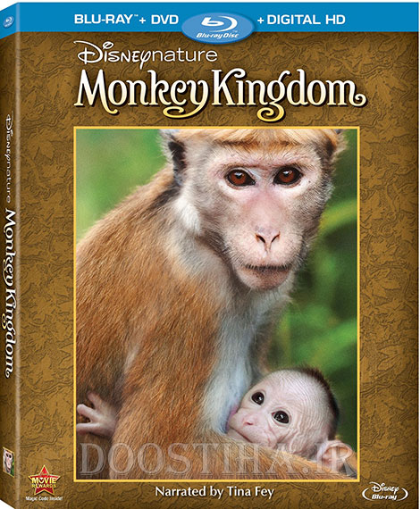 دانلود مستند پادشاهی میمون Monkey Kingdom 2015