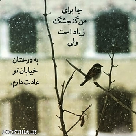 عکس نوشته های الهام بخش, متون تاثیرگذار, اشعار دلنشین, نقل قول های جذاب, دیالوگ های آموزنده, جملات زیبا و ماندگار