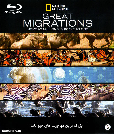 National Geographic Great Migrations 2010