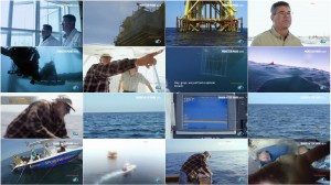 Shark Week - Monster Mako 2015