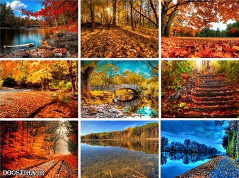 50 Beautiful Autumn HD Wallpapers Set