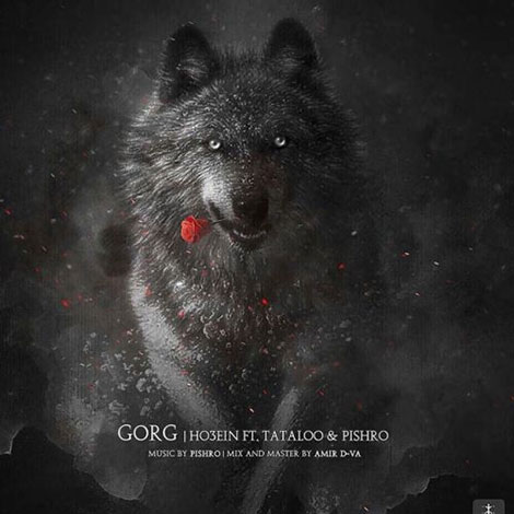 دانلود آهنگ امیر تتلو، رضا پیشرو و حصین به نام گرگ