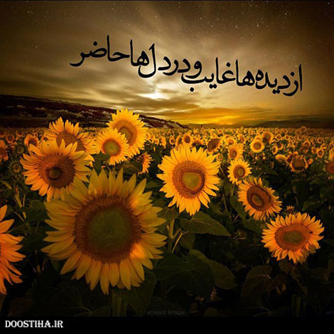 نقل قول های ماندگار, دیالوگ های زیبا, عکس نوشته های عاشقانه, جملات الهام بخش