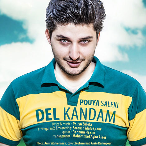 دانلود آهنگ جدید پویا سالکی به نام دل کندم