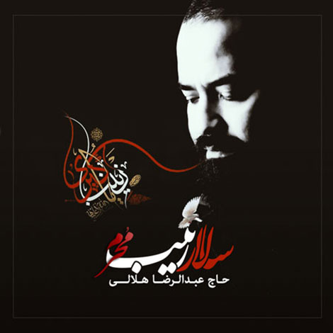 دانلود نوحه جدید عبدالرضا هلالی به نام سالار زینب