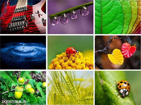 دانلود 60 والپیپر ماکرو Beautiful Macro HD Wallpapers