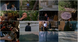 دانلود فیلم رنگ خدا, دانلود رایگان فیلم رنگ خدا, فیلم رنگ خدا به کارگردانی مجید مجیدی, دانلود مستقیم فیلم رنگ خدا, دانلود فیلم ایرانی رنگ خدا با حجم کم