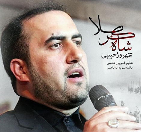 دانلود آهنگ جدید شهروز حبیبی به نام شاه کربلا