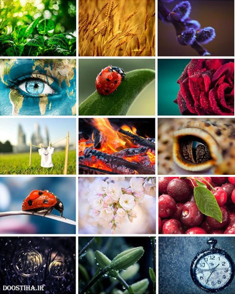 دانلود مجموعه والپیپر ماکرو Beautiful Macro HD Wallpapers دانلود مجموعه والپیپر ماکرو Beautiful Macro HD Wallpapers