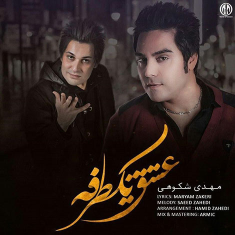 دانلود آهنگ جدید مهدی شکوهی به نام عشق یک طرفه