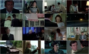 دانلود دوبله فارسی فیلم دایره خونین Mort d'un pourri 1977