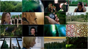 Colour: The Spectrum of Science - Colours of Life