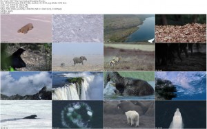 دانلود دوبله فارسی مستند زمین Earth 2007