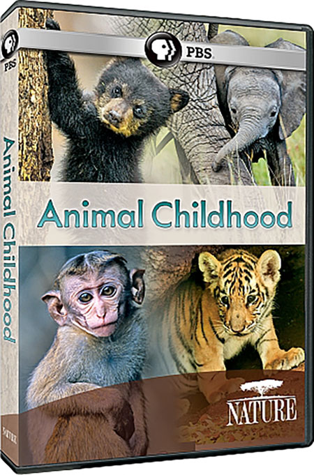 دانلود مستند Nature: Animal Childhood 2015