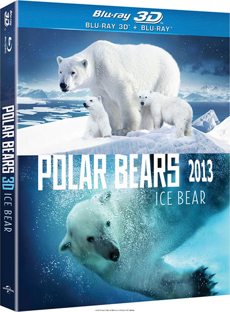 دانلود مستند خرس های قطبی Polar Bears: Ice Bear 2013