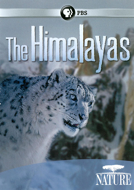 دانلود دوبله فارسی مستند هیمالیا The Himalayas 2011