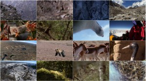 دانلود دوبله فارسی مستند هیمالیا The Himalayas 2011