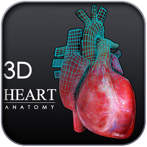 دانلود نرم افزار آناتومی سه بعدی قلب Heart 3D Anatomy