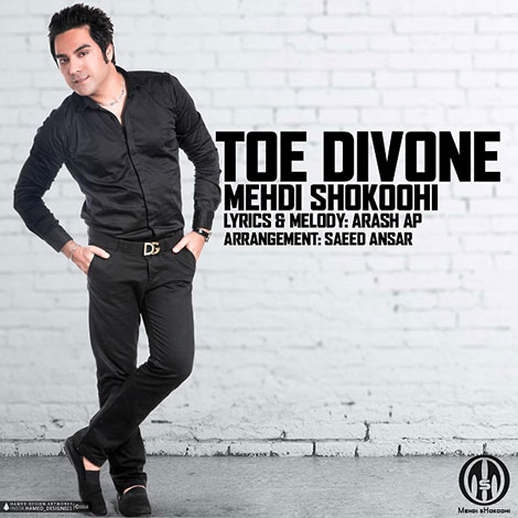 دانلود آهنگ جدید مهدی شکوهی به نام توئه دیوونه