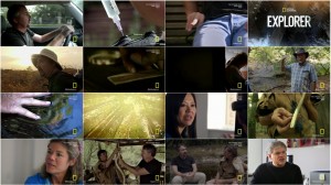 دانلود مستند National Geographic Explorer Call of the Wild HDTV