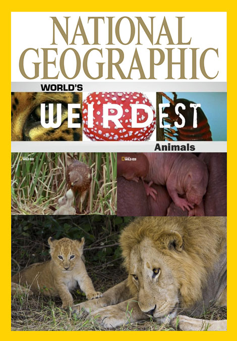 دانلود مستند عجیب ترین حیوانات محصول نشنال جئوگرافیک 2015