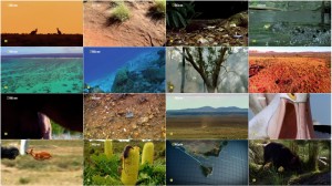 دانلود مستند National Geographic: Sky Safari Australia 2015