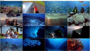دانلود مستند Coral Reef Adventure 2003